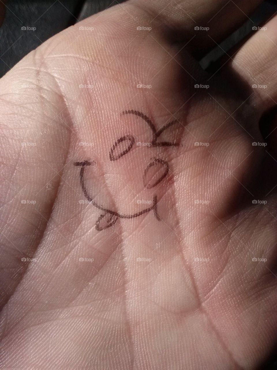 Palmala Handerson drawn on my Hand