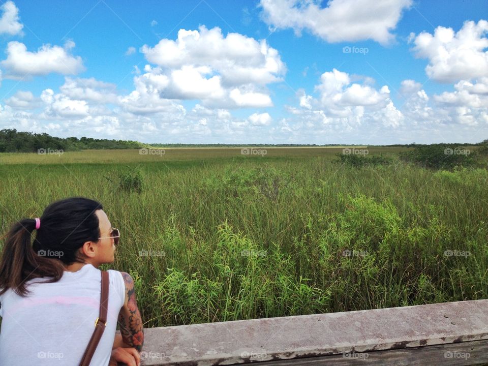 Looking into Everglades,Florida. Looking in the middle of the Everglades during the vacation