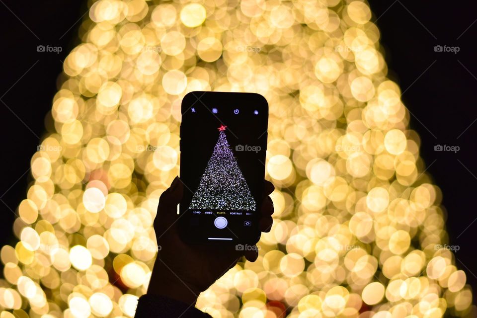 Photographing a Christmas tree during holidays.