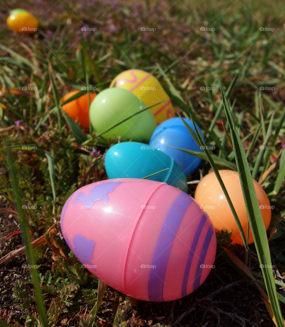 Colored plastic Easter Eggs with different designs sitting in the grass on a sunny spring morning. 