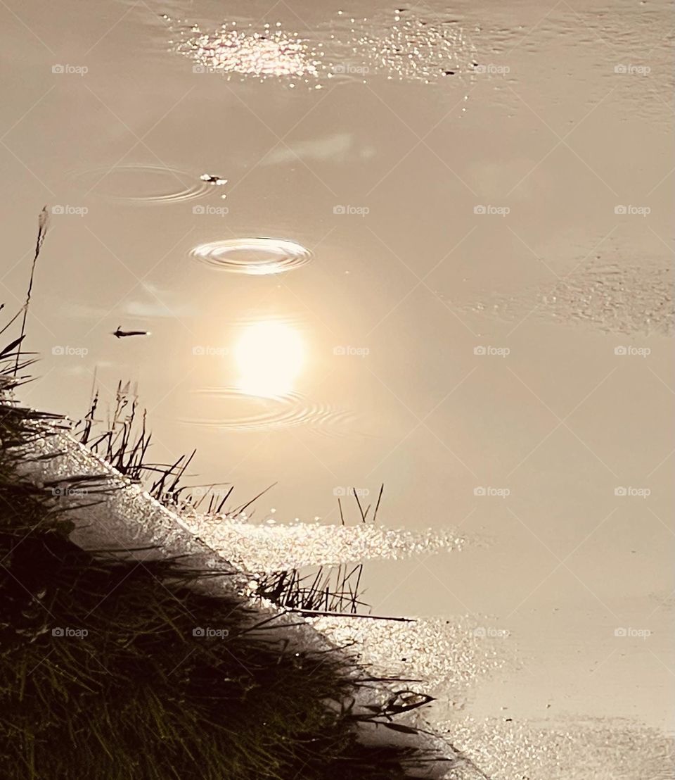 Sun reflection in a water puddle