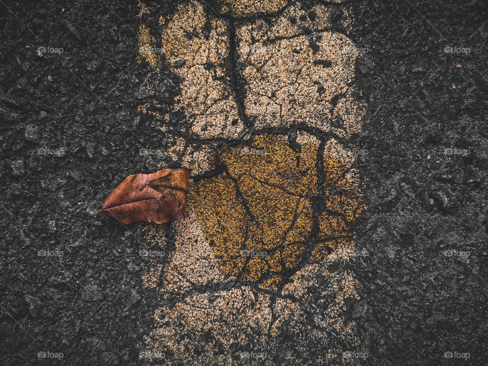 On the street's floor