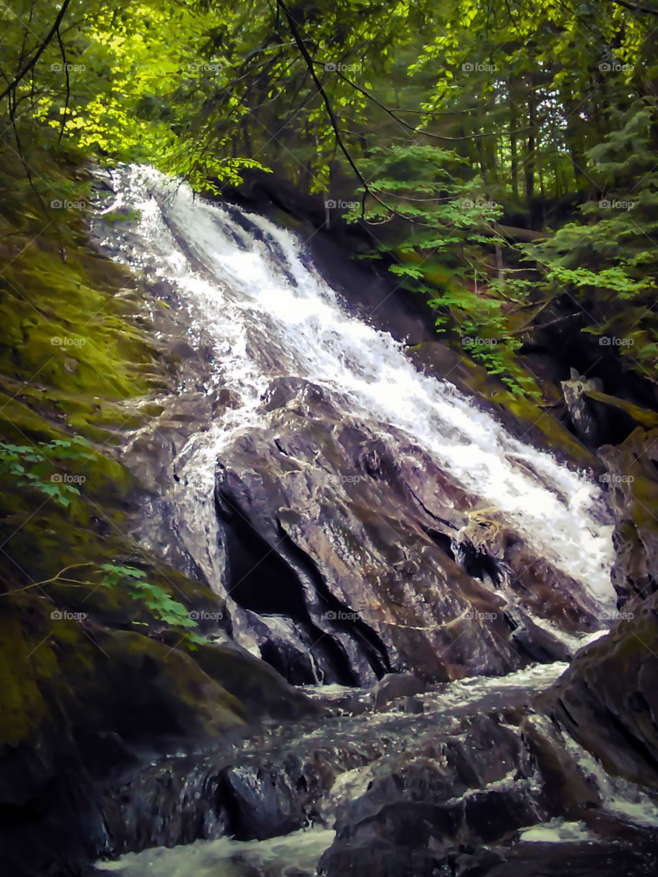 Top of the Falls