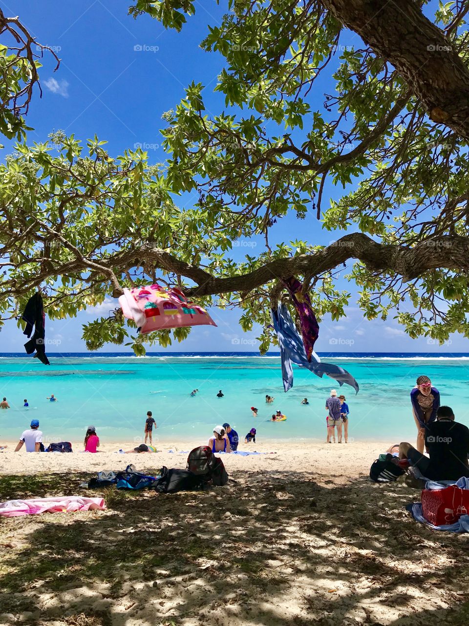 A nice shady tree on a tropical beach full of people, New Caledonia 