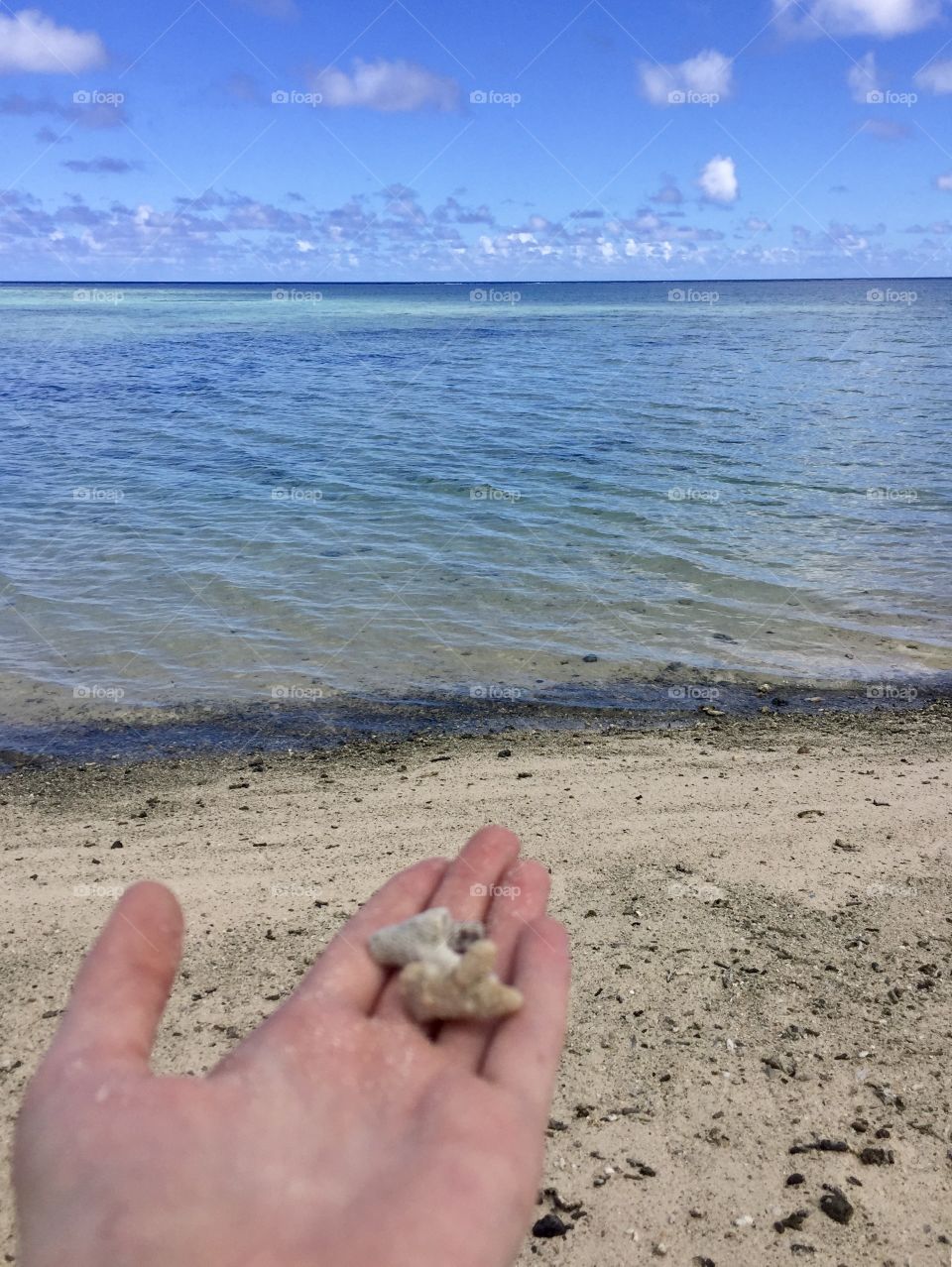 Looking out onto the sandy shore and ocean beyond with a hand holding pieces of coral in the foreground.