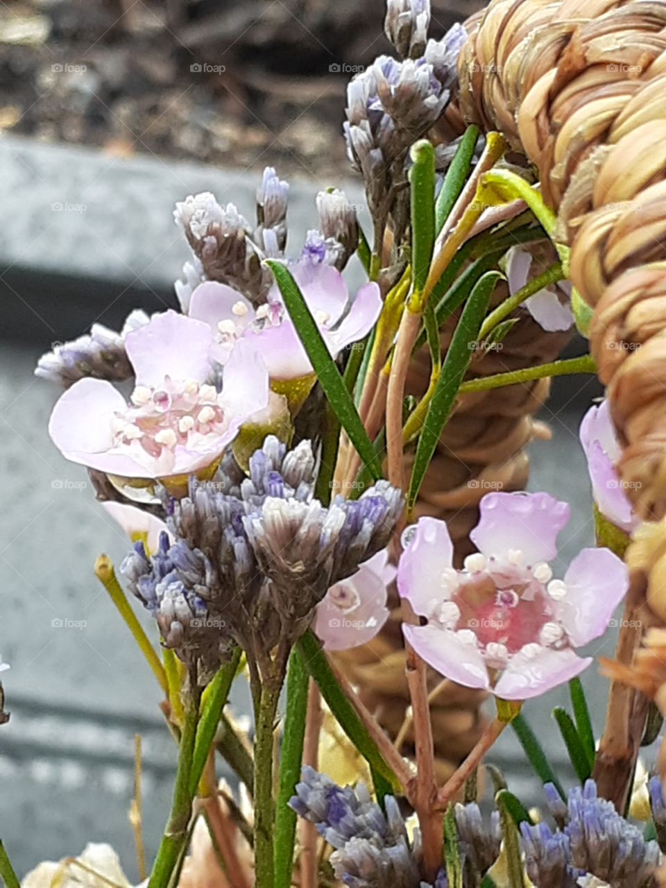 rain drops on rainy days