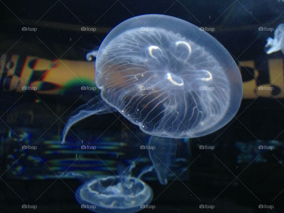 people nature travel color by itsAus