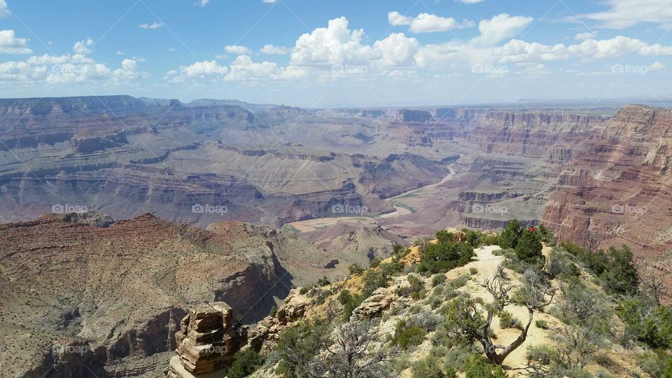 A view of the Grand Canyon