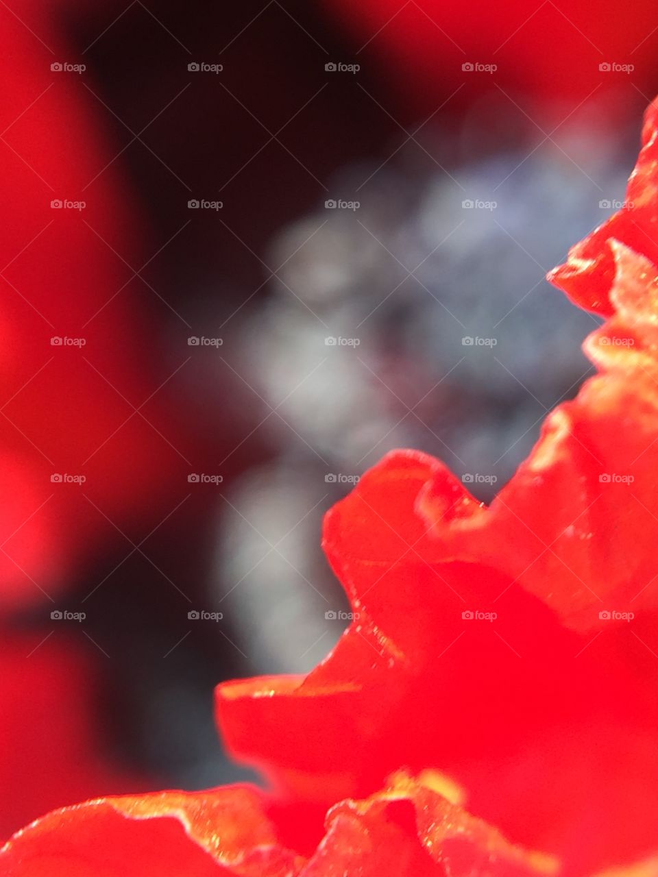 Abstract/абстракция