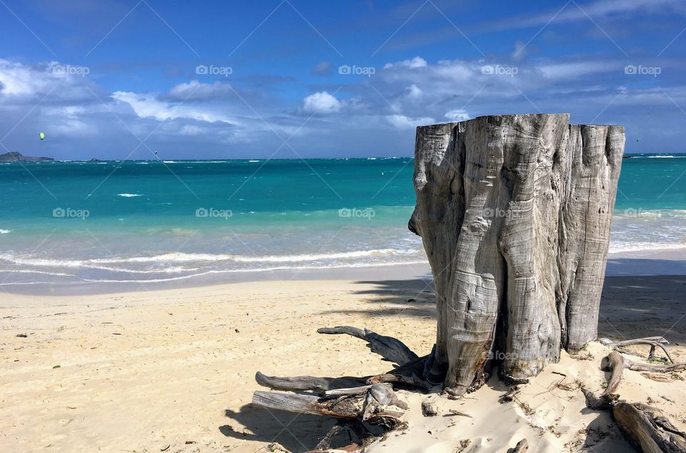 Beach stump