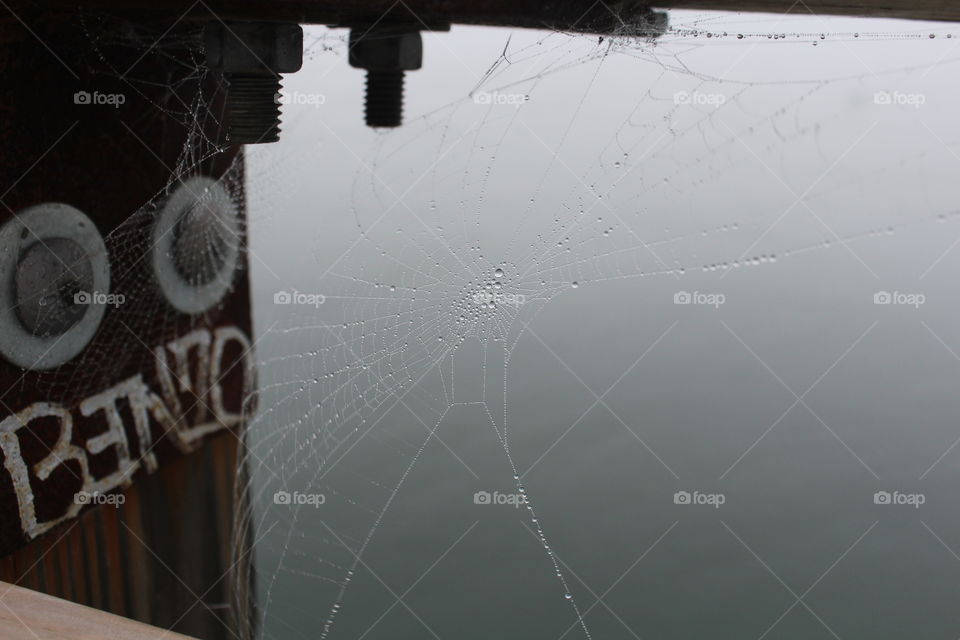 A web with rain droplets on a hazy day. 
