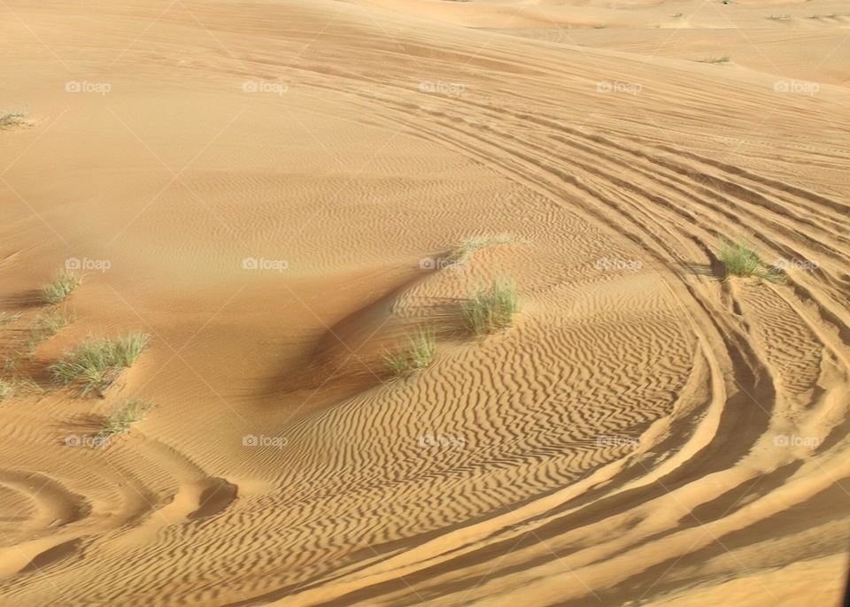 Desert Safari in Dubai