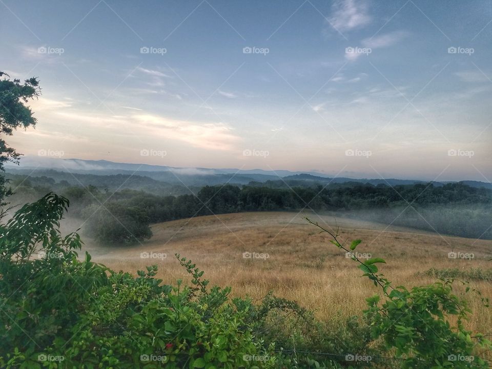 Fog over the morning fields