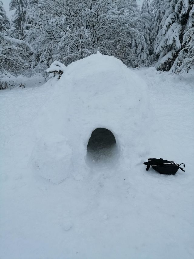 Les Ardennes en neige