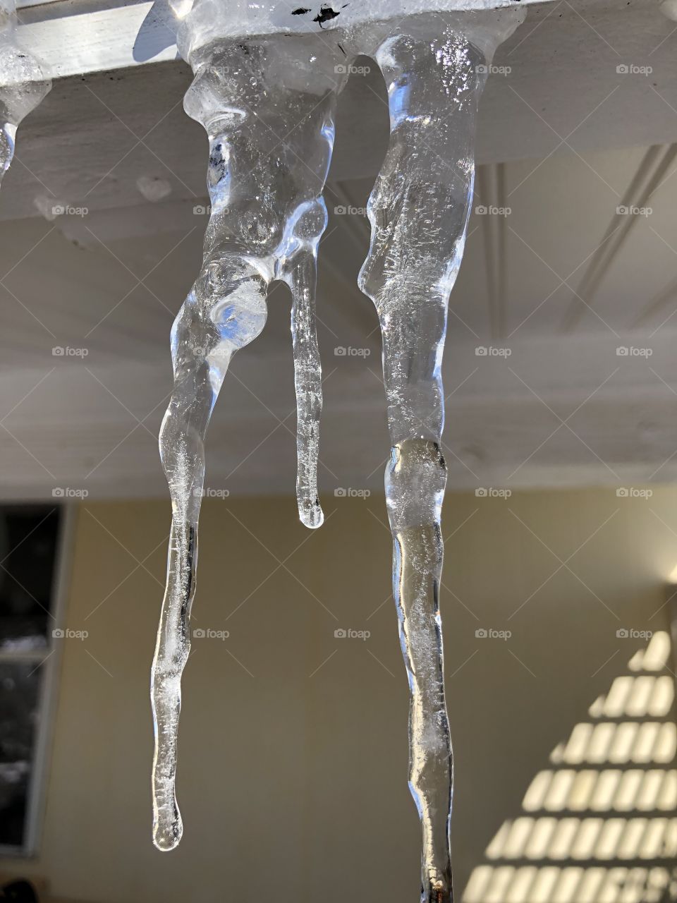 Icicles Close Up
