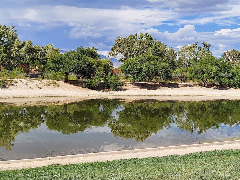 reflection in the water