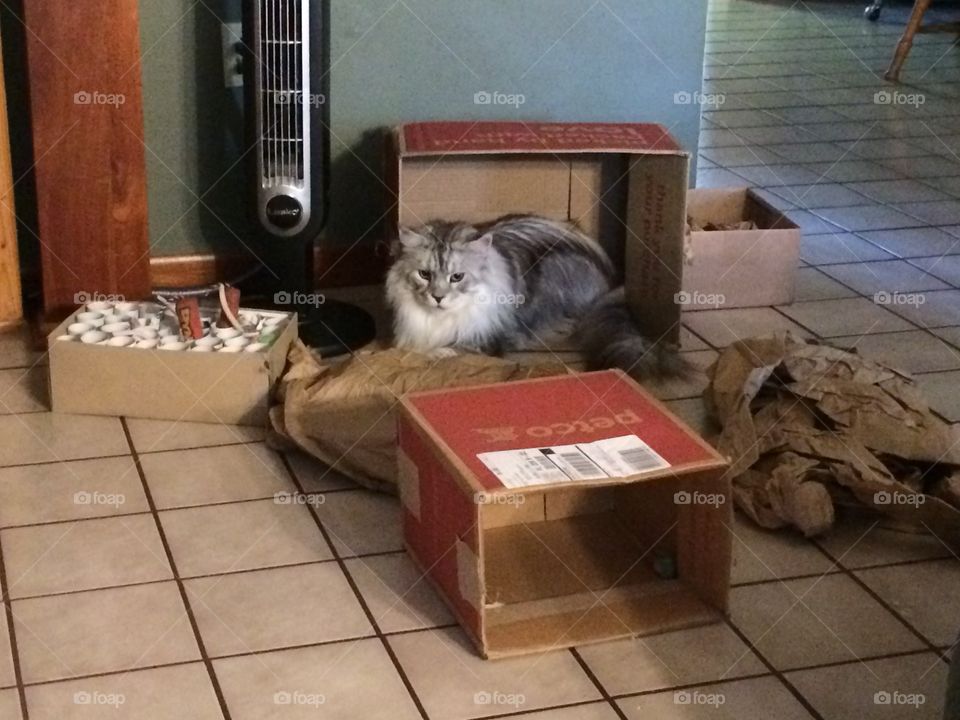 If I fits, I sits !
