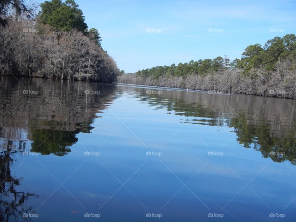 Big Cypress Bayou