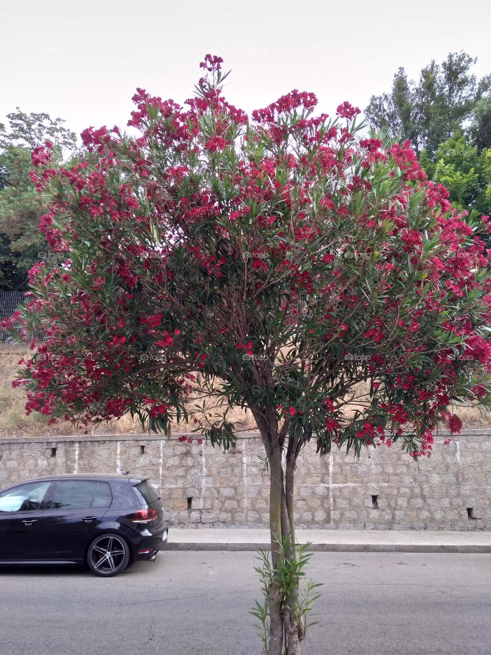 Editors' Choice - Photo of the Week