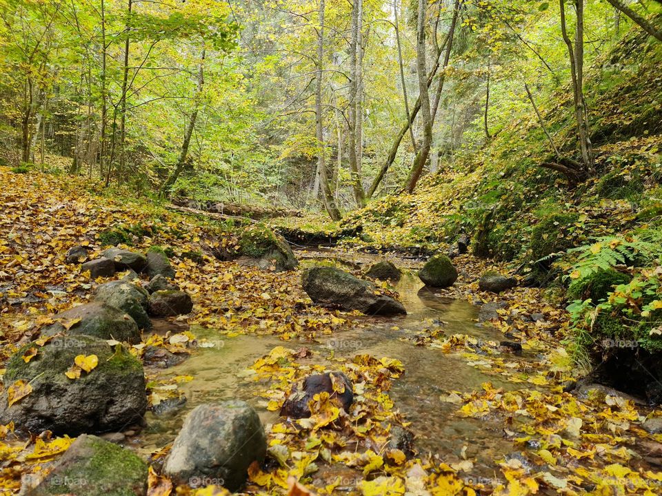 I took this photo while on hike, it was warm autumn day with a lot of beautiful views
