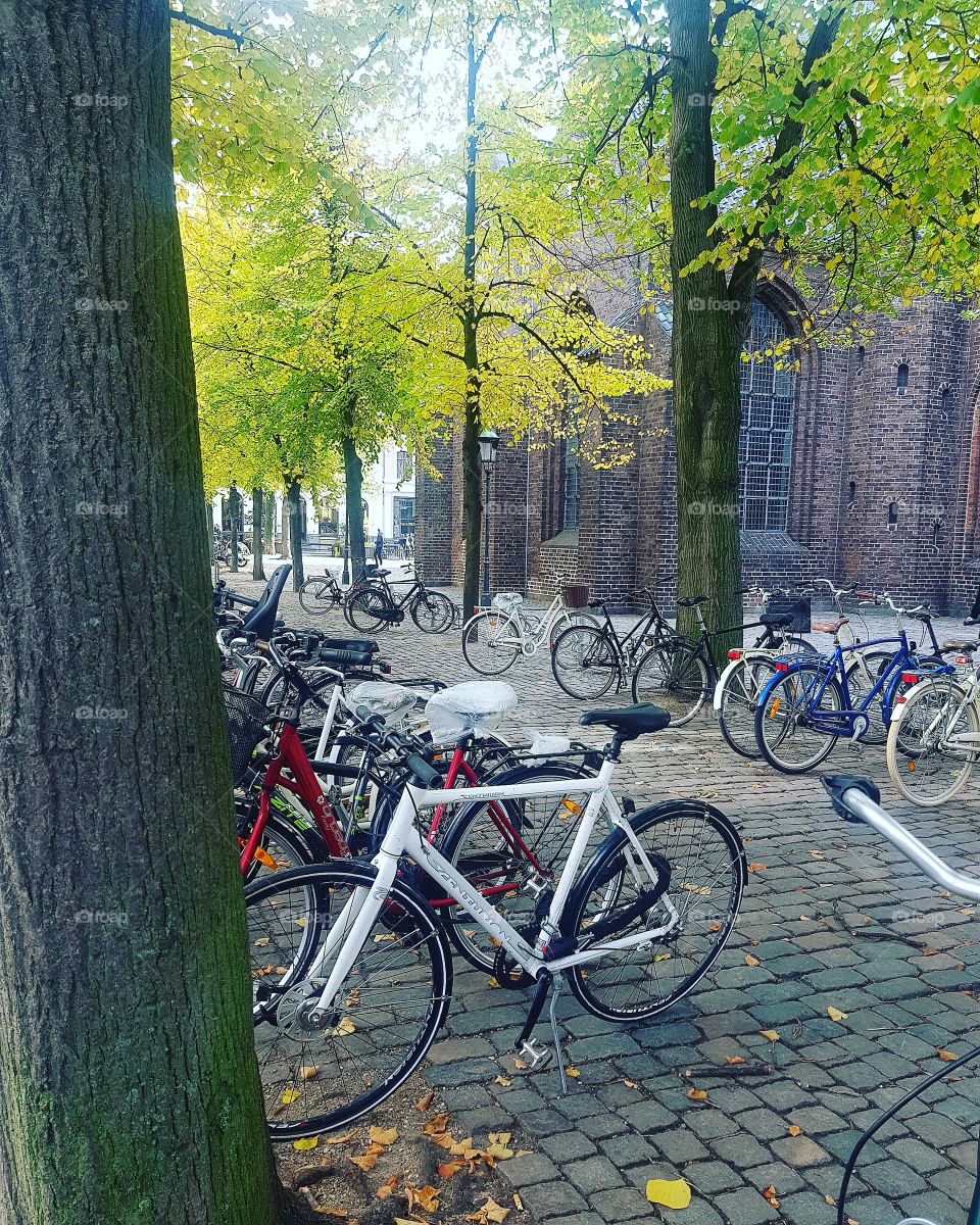 Bikes of Copenhagen