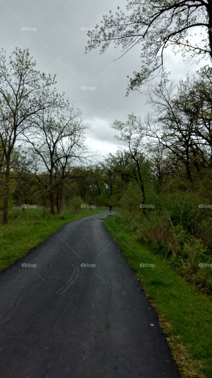 Stormy Trail