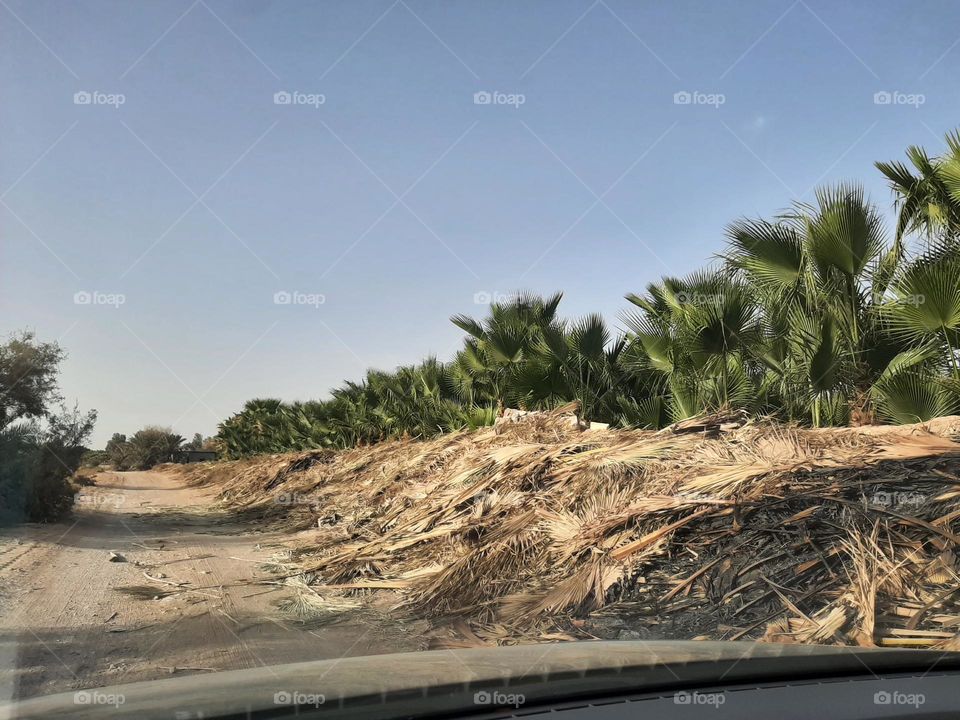 Please make me happy, I am poor, I need your help with support