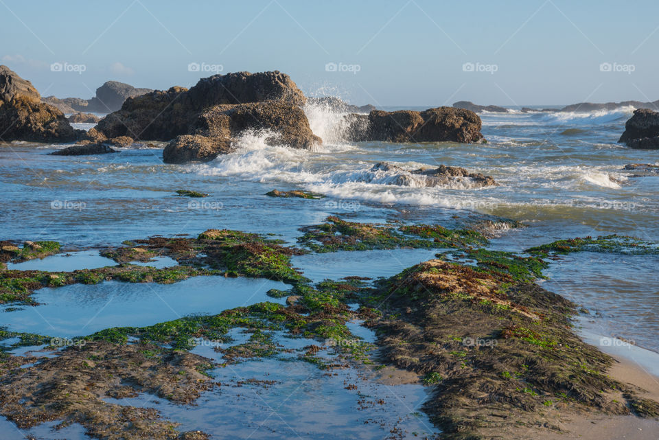 Waves crashing on Seal Rock Beach in Oregon