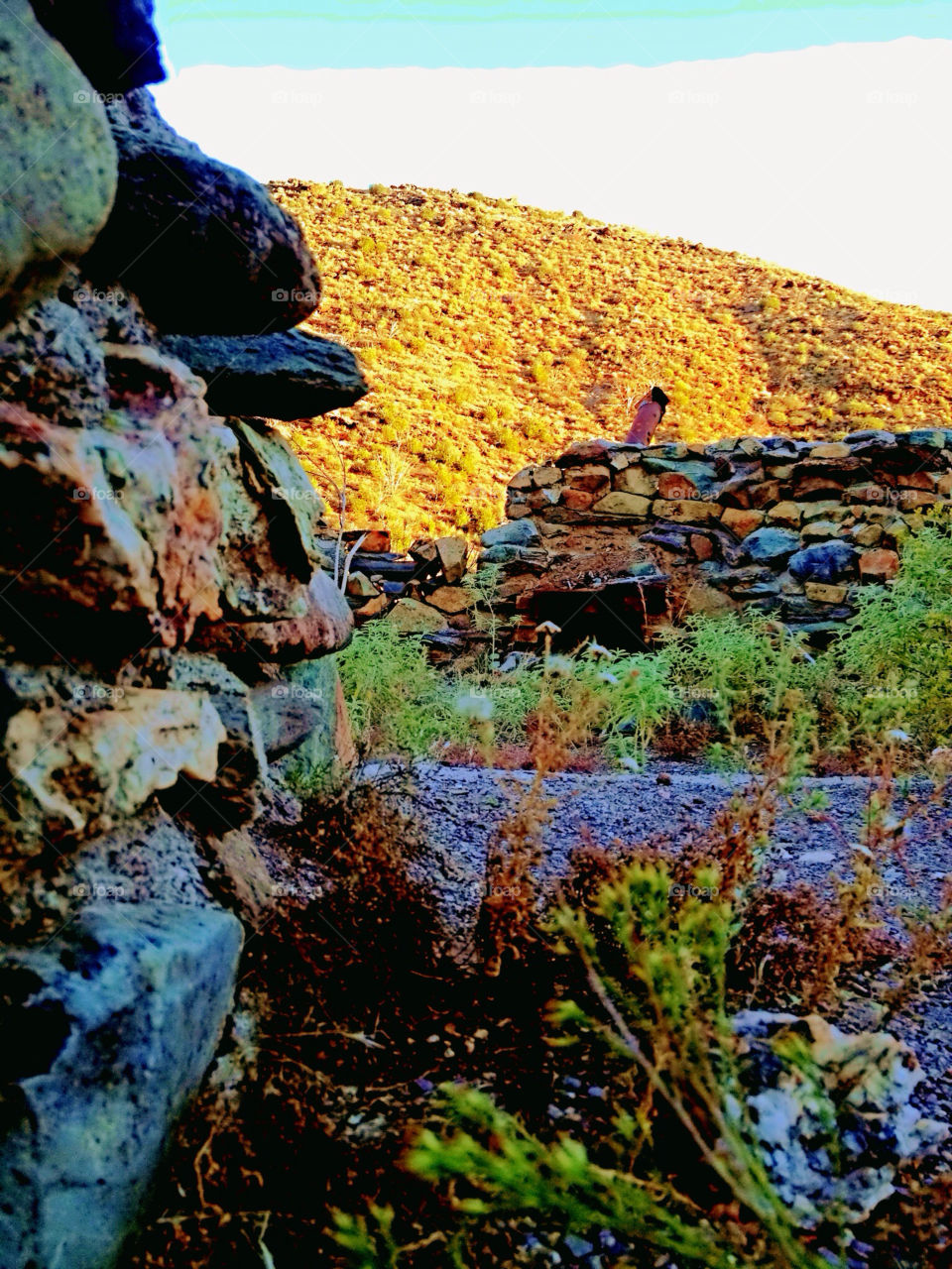 cave creek ranger district seven springs arizona by mjf101471