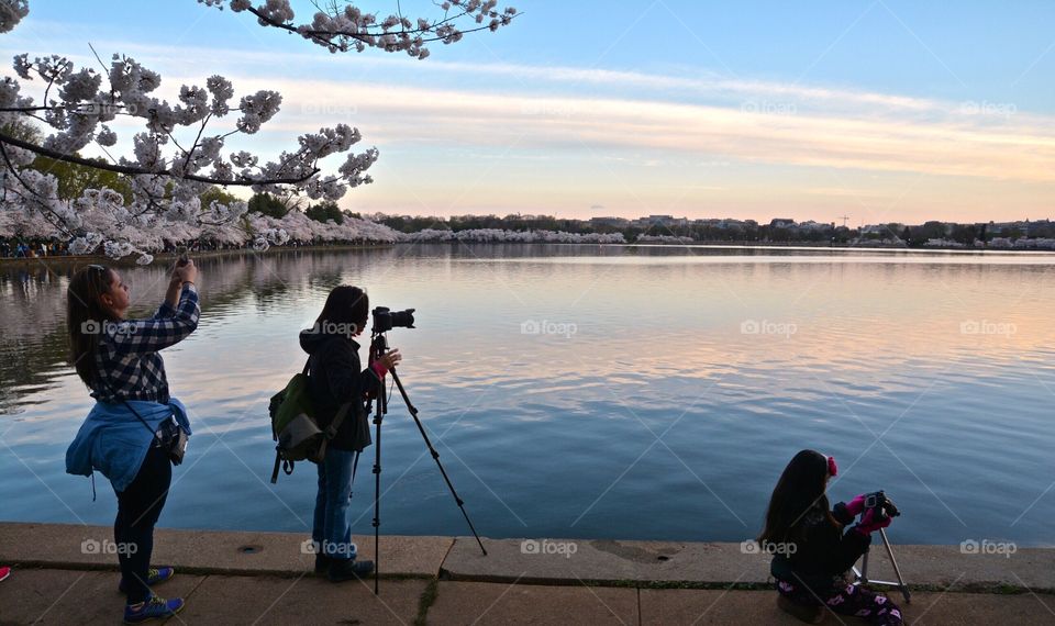 Photographer at the tidal basin