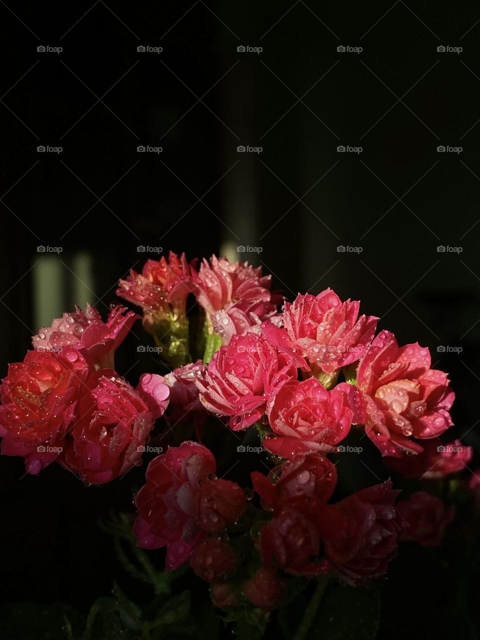 bright colors in minimalism