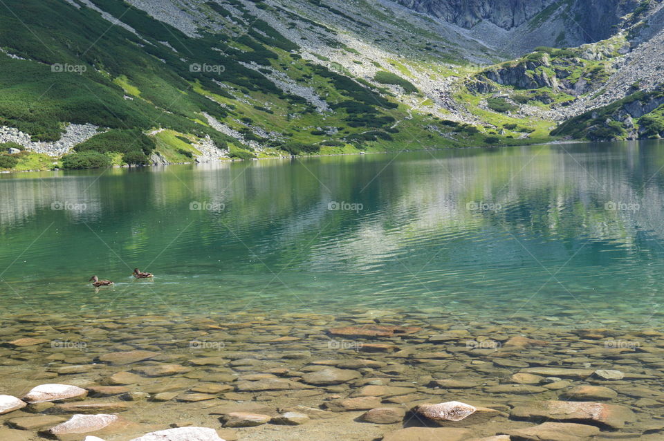 Hala Gąsienicowa  -Tatra Mountains .  Zakopane, Poland