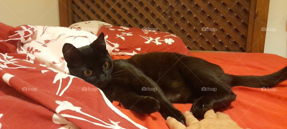 Yes, give me your hand