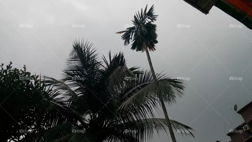 cloudy sky.