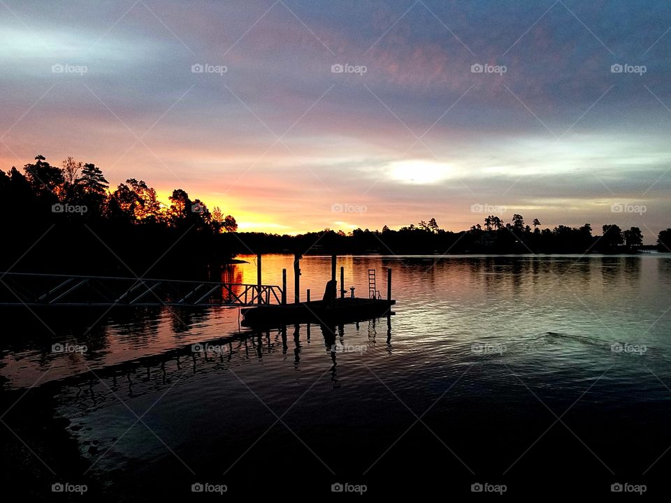 first light of dawn.  beaver swimming by.