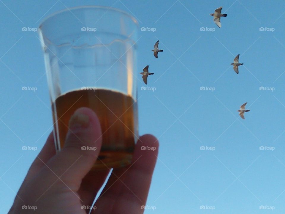 Beautiful cup of tea embraced foggy sky.