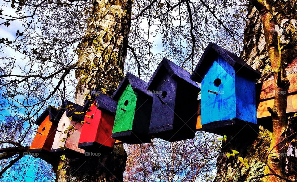 Bird houses ready for the season