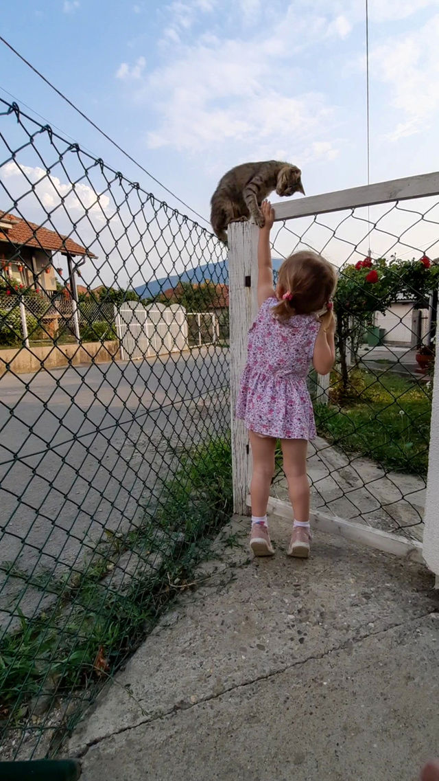 Girl and cat. Love ❤