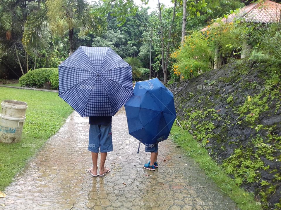 buddy
rainy
umbrella
brother