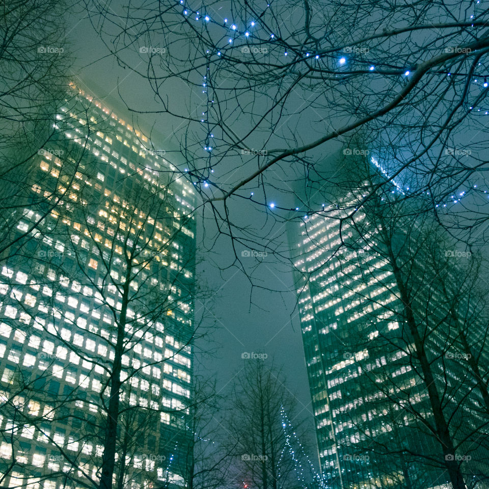 Christmas Lights adorn the trees in Canary Wharf, one of London's business and financial districts.