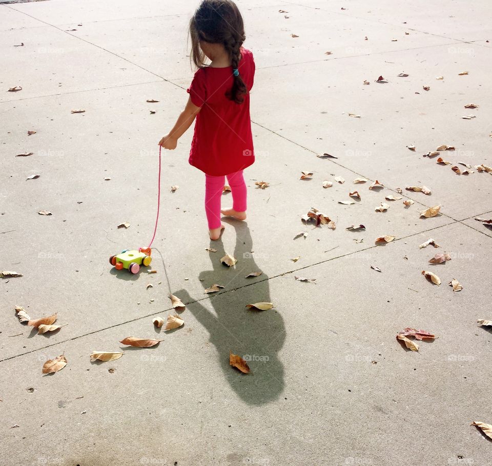 walking the toy turtle