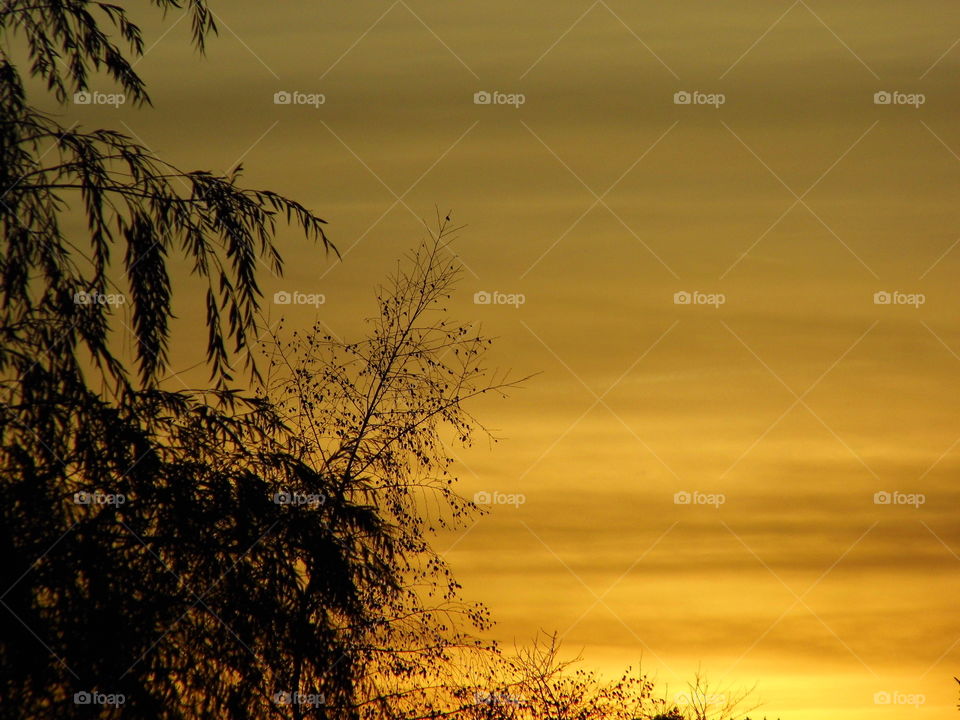 beautiful sunset in the evening