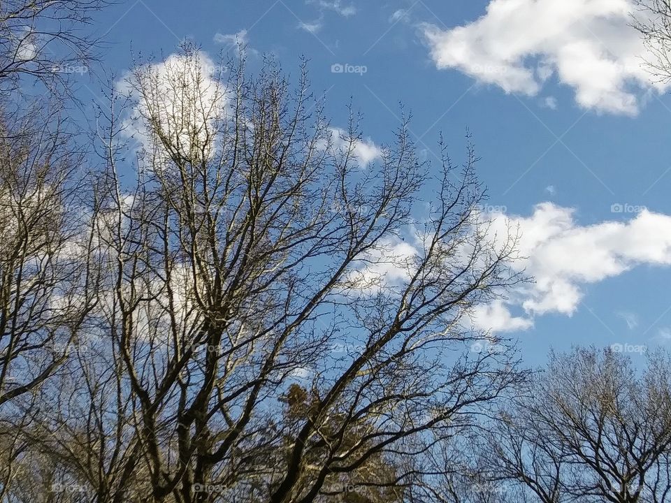 small clouds on a winter's afternoon