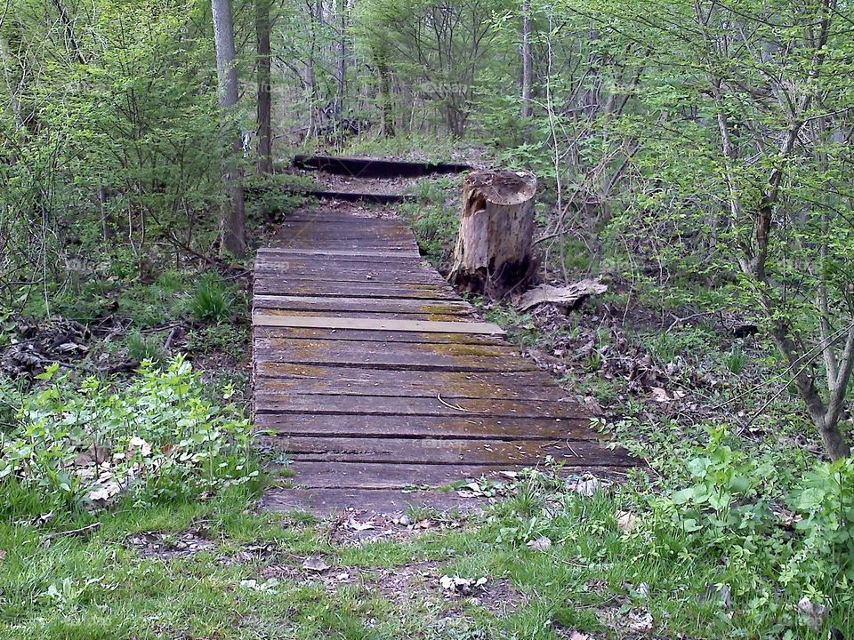 A wooden path