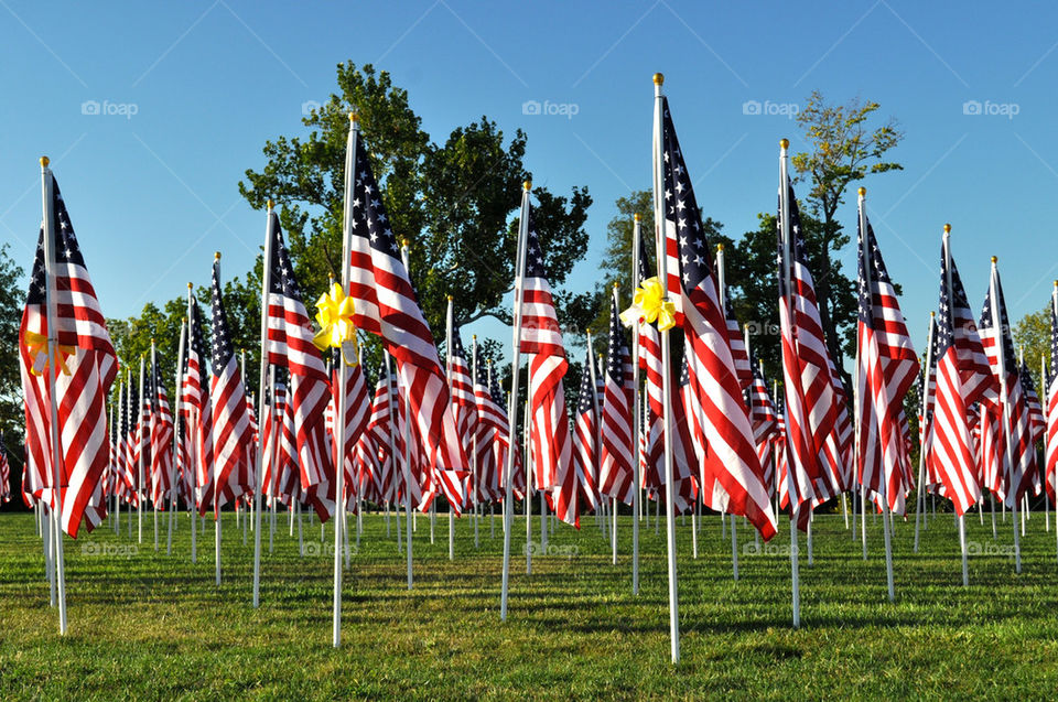 Flags