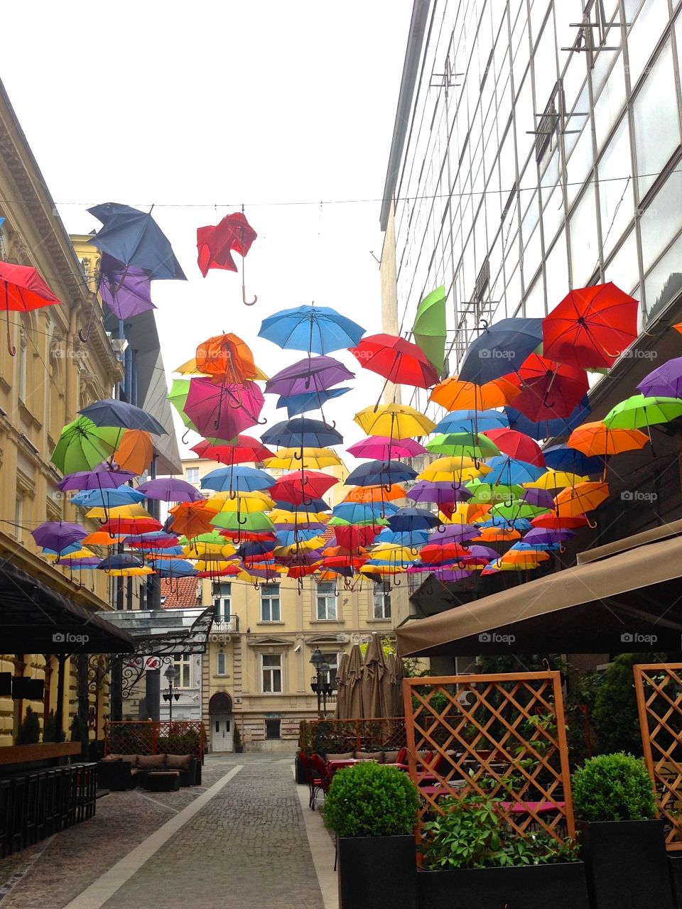 Multicolored umbrellas hanging in city