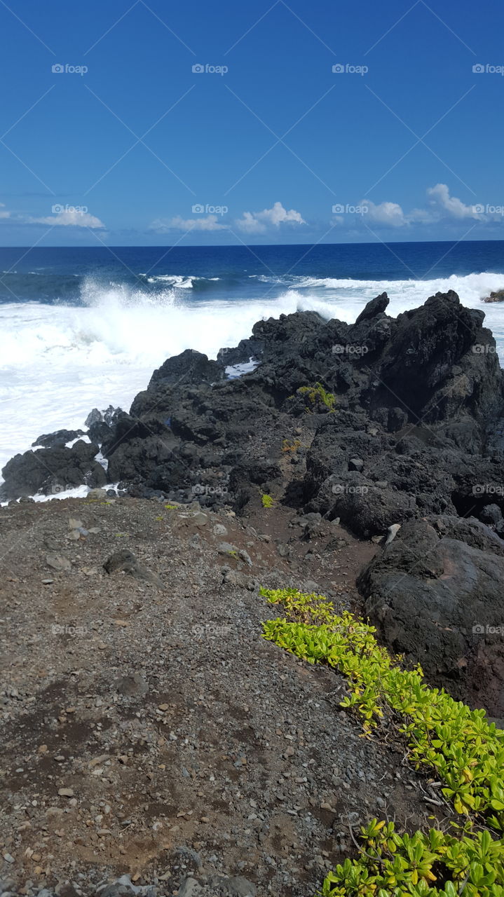 Maui Waves