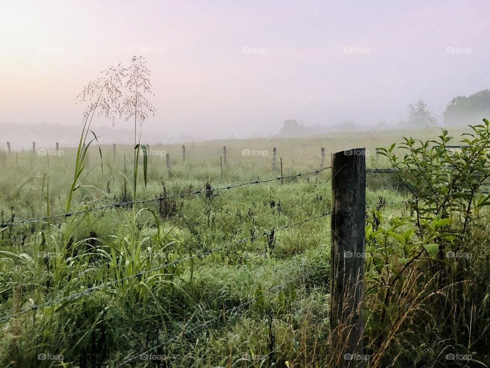 Misty country morning looking over the pastureland. Fence posts and grass visible in the foreground fades into the fog