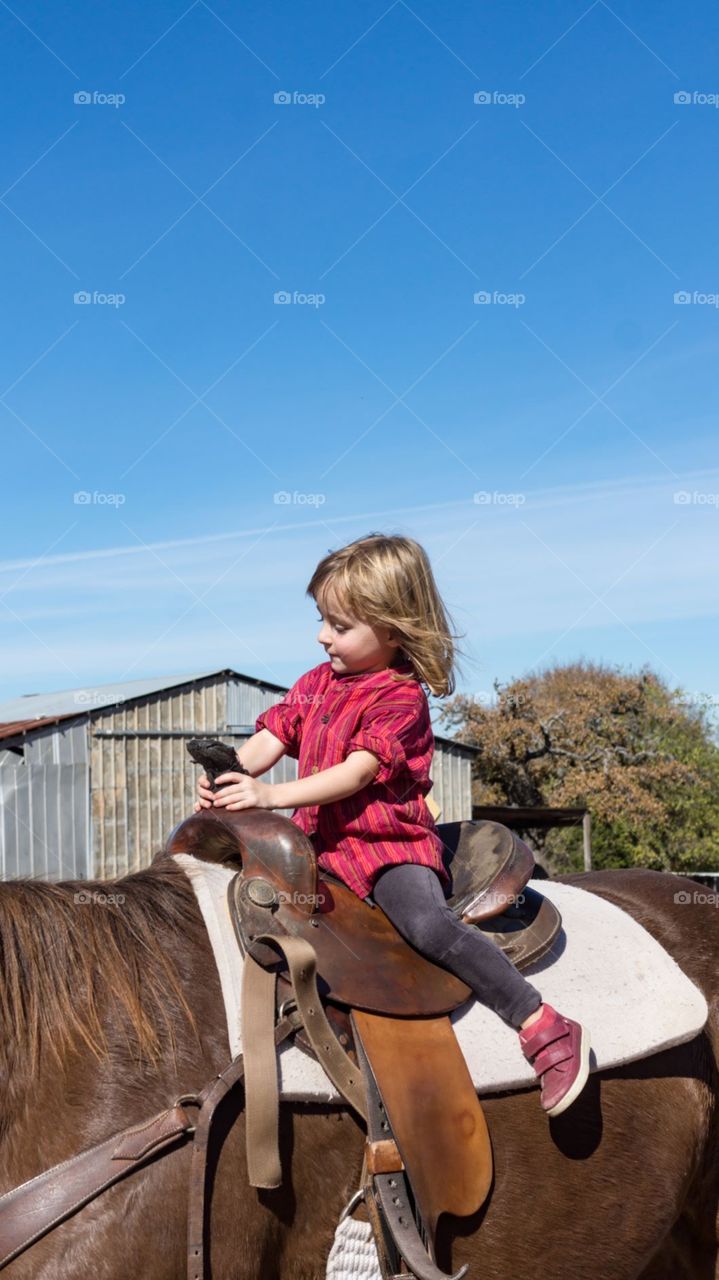 Horse riding in Texas