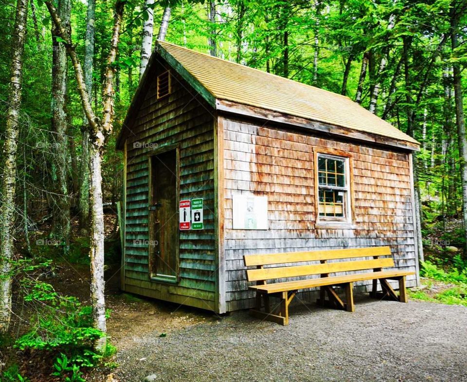 a Rustica cabin in the woods